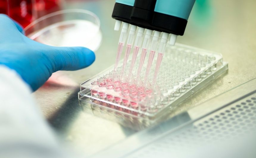 Praca w laboratorium: ręka z niebieską rękawiczką używa pipety do podziału cieczy.