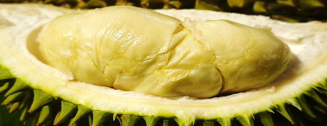 Durian