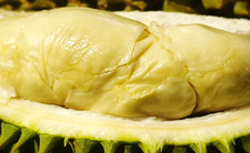 Durian