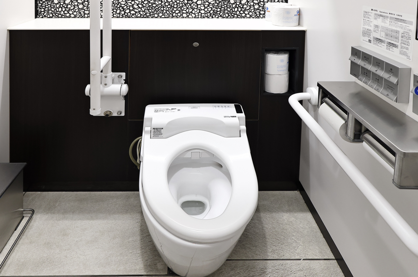 Toaleta i washlet