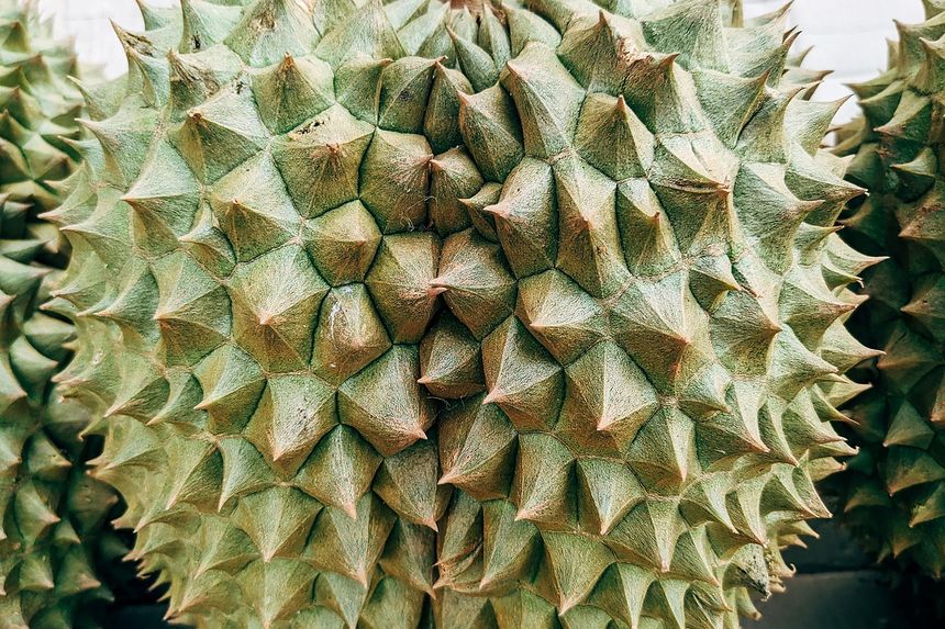 Durian