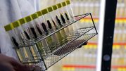 Zdjęcie przedstawia rękę trzymającą koszyk z probówkami w laboratorium.