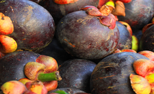 Mangostan