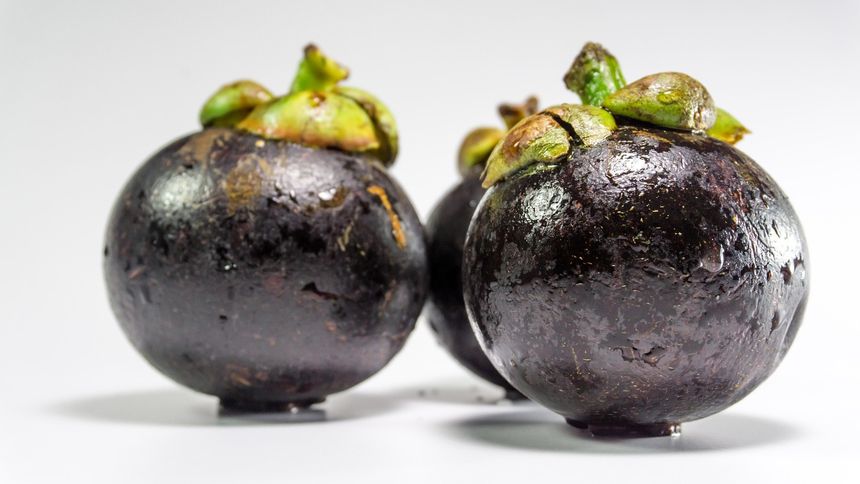 Mangostan
