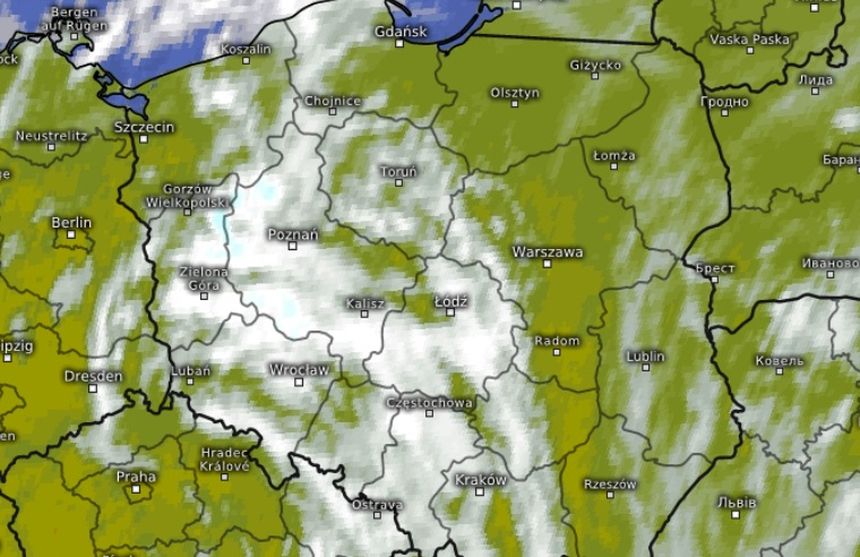 prognoza