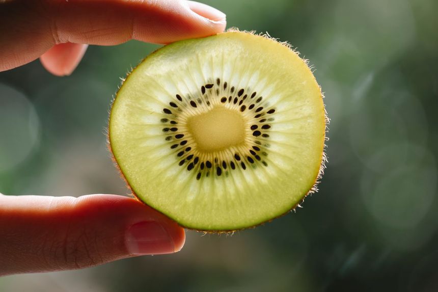 Nie dodawaj kiwi do galaretki