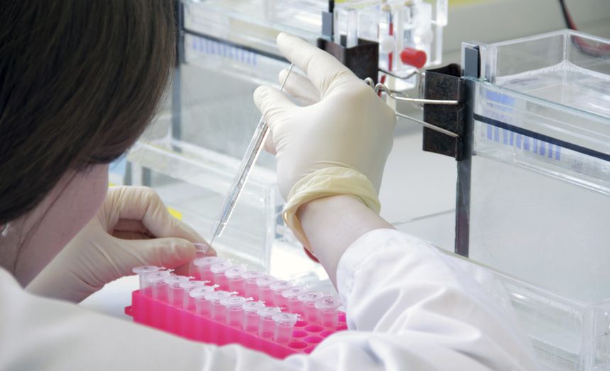 Osoba w rękawiczkach laboratoryjnych napełnia próbówki w laboratorium.