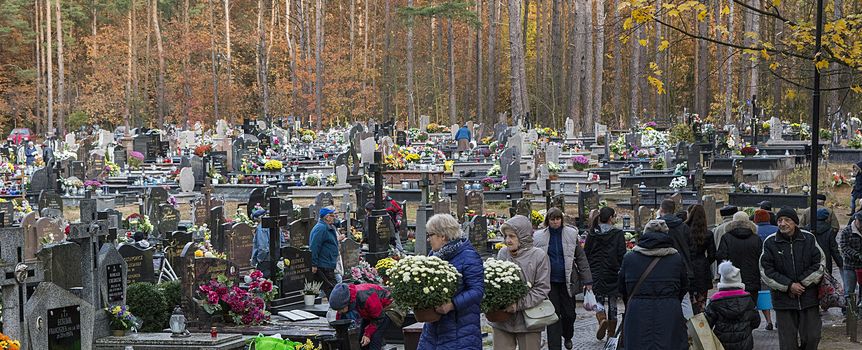 Widok na cmentarz z ludźmi niosącymi kwiaty, drzewami w tle, w jesiennej scenerii.