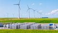 energia wiatrowa