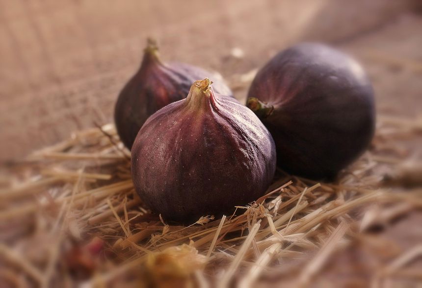 Figi