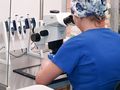 Osoba w niebieskim uniformie patrzy przez mikroskop w laboratorium. W tle narzędzia badawcze.