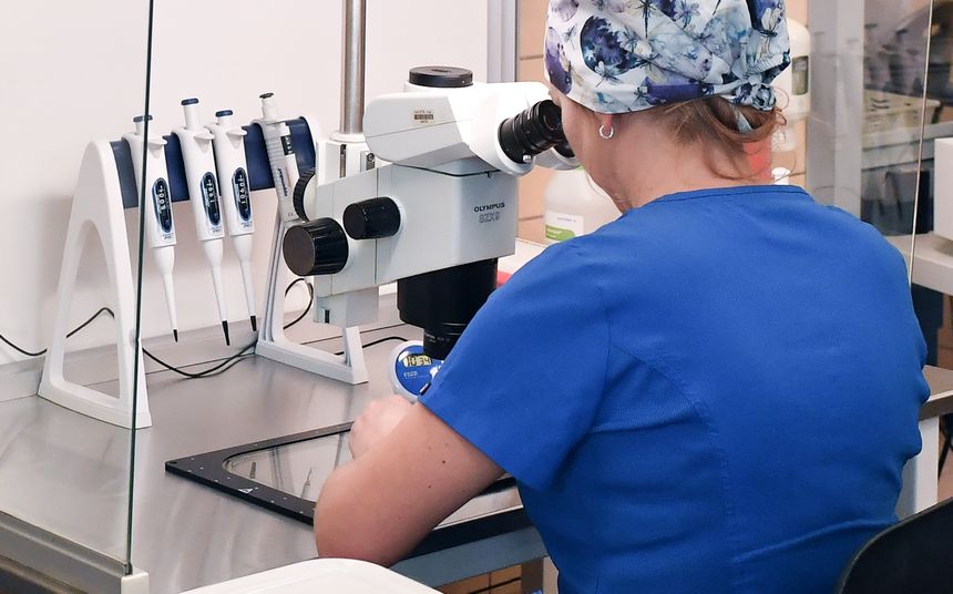 Osoba w niebieskim uniformie patrzy przez mikroskop w laboratorium. W tle narzędzia badawcze.