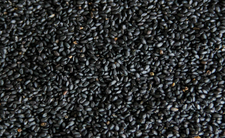 Nasiona bazylii