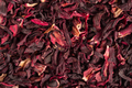 Suszony hibiskus