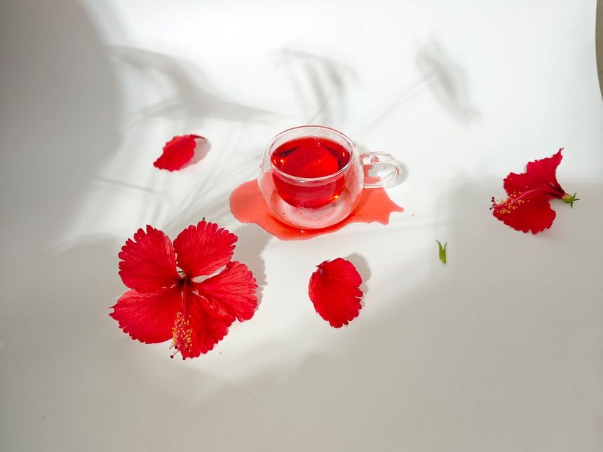 Napar z hibiskusa 