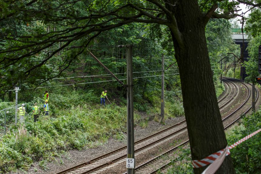 Poszukiwania Złotego Pociągu