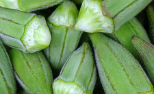 Okra, zdrowe warzywa