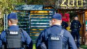 Zoo w Łącznej