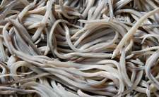 Angulas