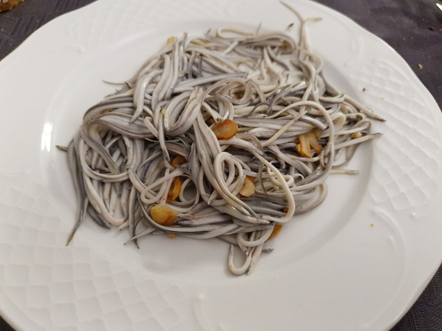 Angulas
