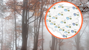Zamglony las w jesiennej scenerii, w kółku mapa pogody z temperaturami i symbolami chmur.