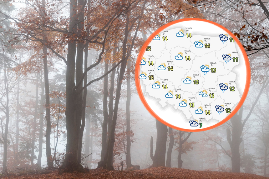 Zamglony las w jesiennej scenerii, w kółku mapa pogody z temperaturami i symbolami chmur.