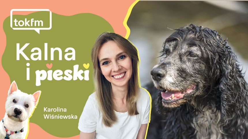 Jak dbać o zdrowie starszego psa?