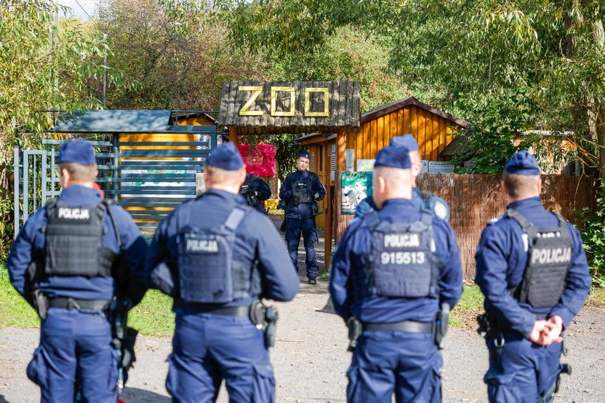 Śledztwo w sprawie mini ZOO w Łącznej – działania Policji i Prokuratury