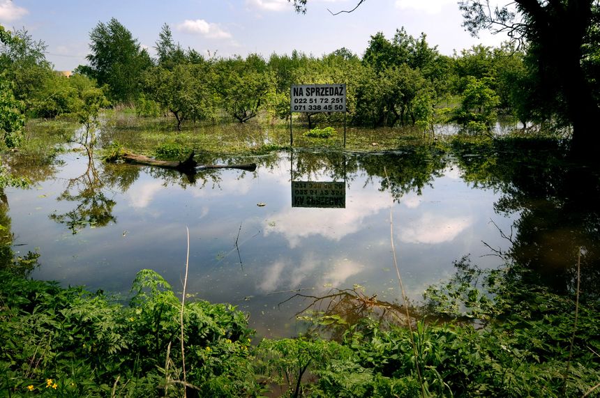 zalana działka