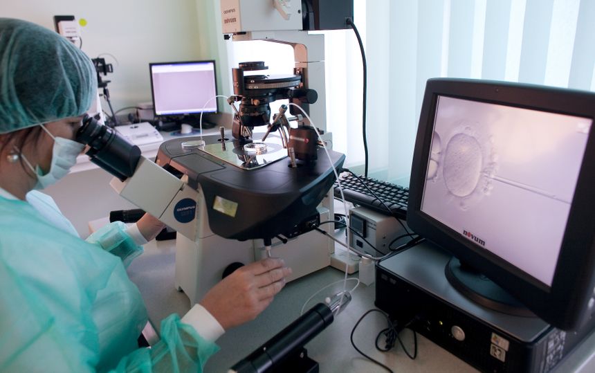 Pracownik laboratoriów przy mikroskopie, analizujący komórki na monitorze.