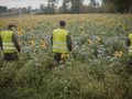 Poszukiwania obiektu w Lublinie