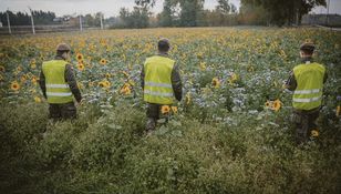 Poszukiwania obiektu w Lublinie