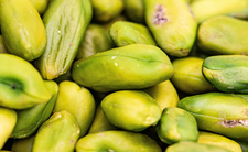 Pistacje
