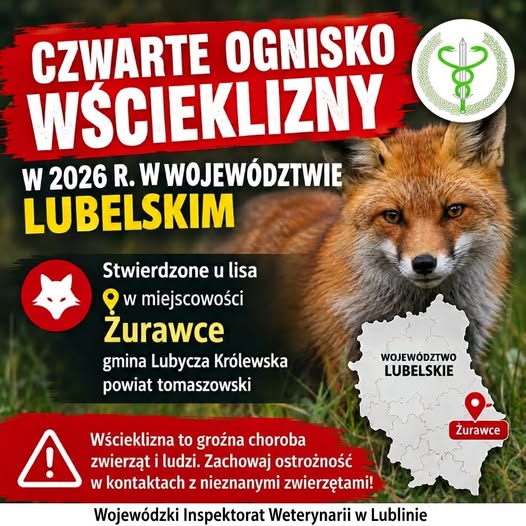 wścieklizna w województwie lubelskim