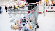 Koszyk zakupowy pełen artykułów spożywczych w supermarkecie. W tle klienci przy kasach.