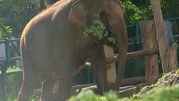 Zoo w Gdańsku