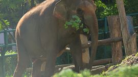 Zoo w Gdańsku