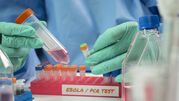 Pracownik laboratorium wykonuje test PCR, trzymając próbówki z próbkami.