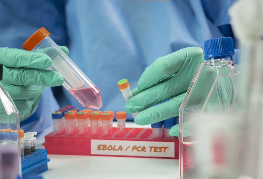 Pracownik laboratorium wykonuje test PCR, trzymając próbówki z próbkami.