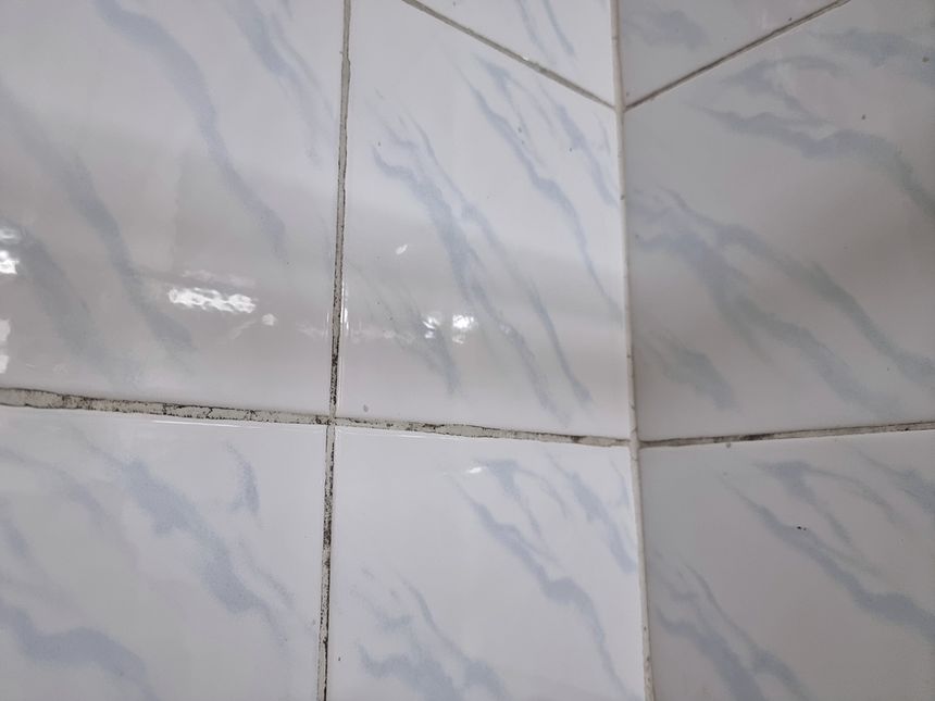 Zdjęcie przedstawia fragment ściany z jasnymi płytkami ceramicznymi oraz małe zacieki.
