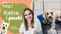 Pielęgnacja psa - jak to robić?