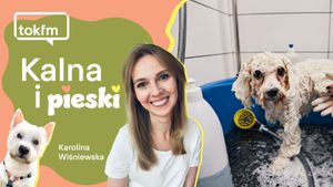 Pielęgnacja psa - jak to robić?