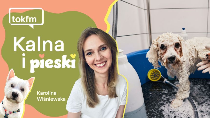 Pielęgnacja psa - jak to robić?