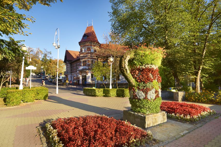 Krynica