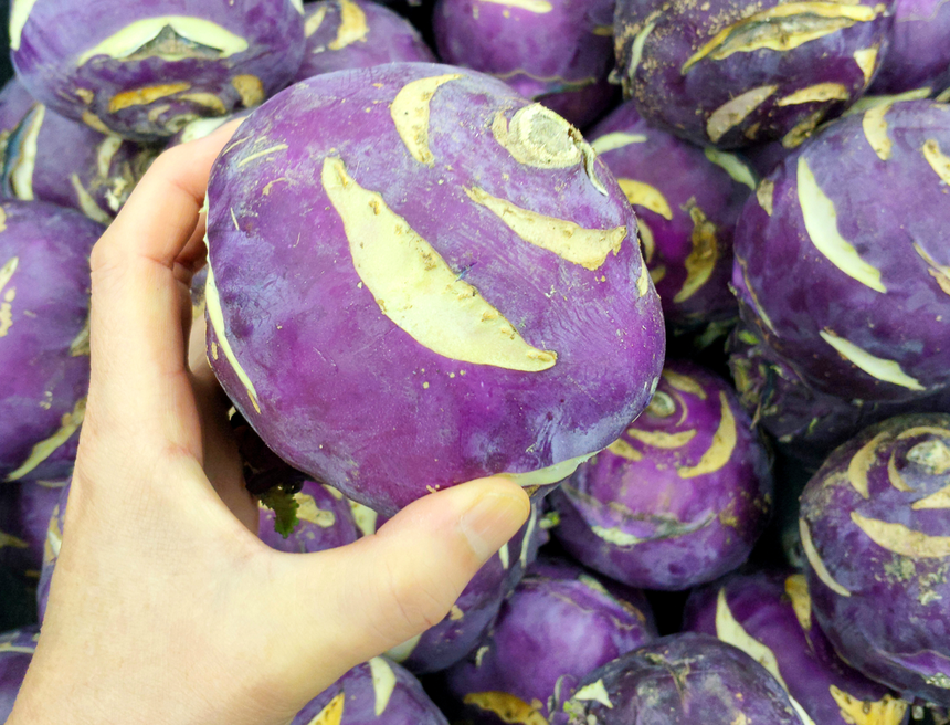 purpurowa odmiana kalarepy