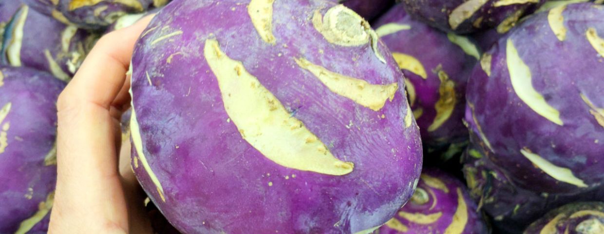 Kalarepa, odmiana purpurowa