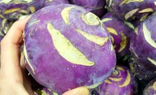 Kalarepa, odmiana purpurowa