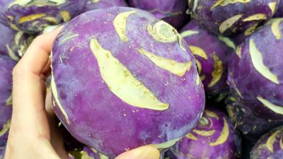 Kalarepa, odmiana purpurowa