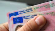 prawo jazdy