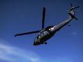 black hawk
